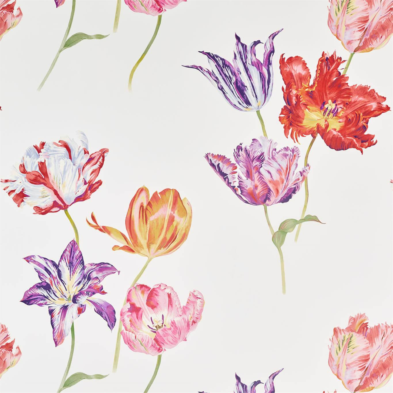 Tulipomania Wallpaper - Botanical - DGLW216666