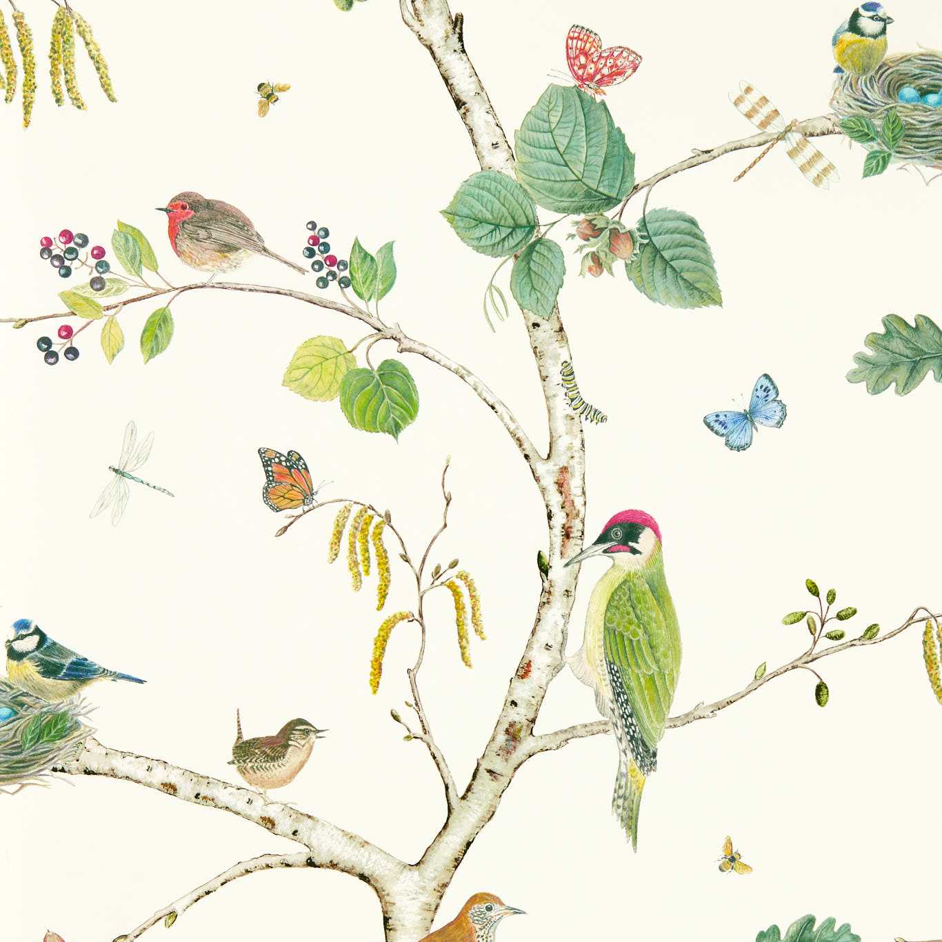 Woodland Chorus Wallpaper - Botanical/Multi - DABW217230