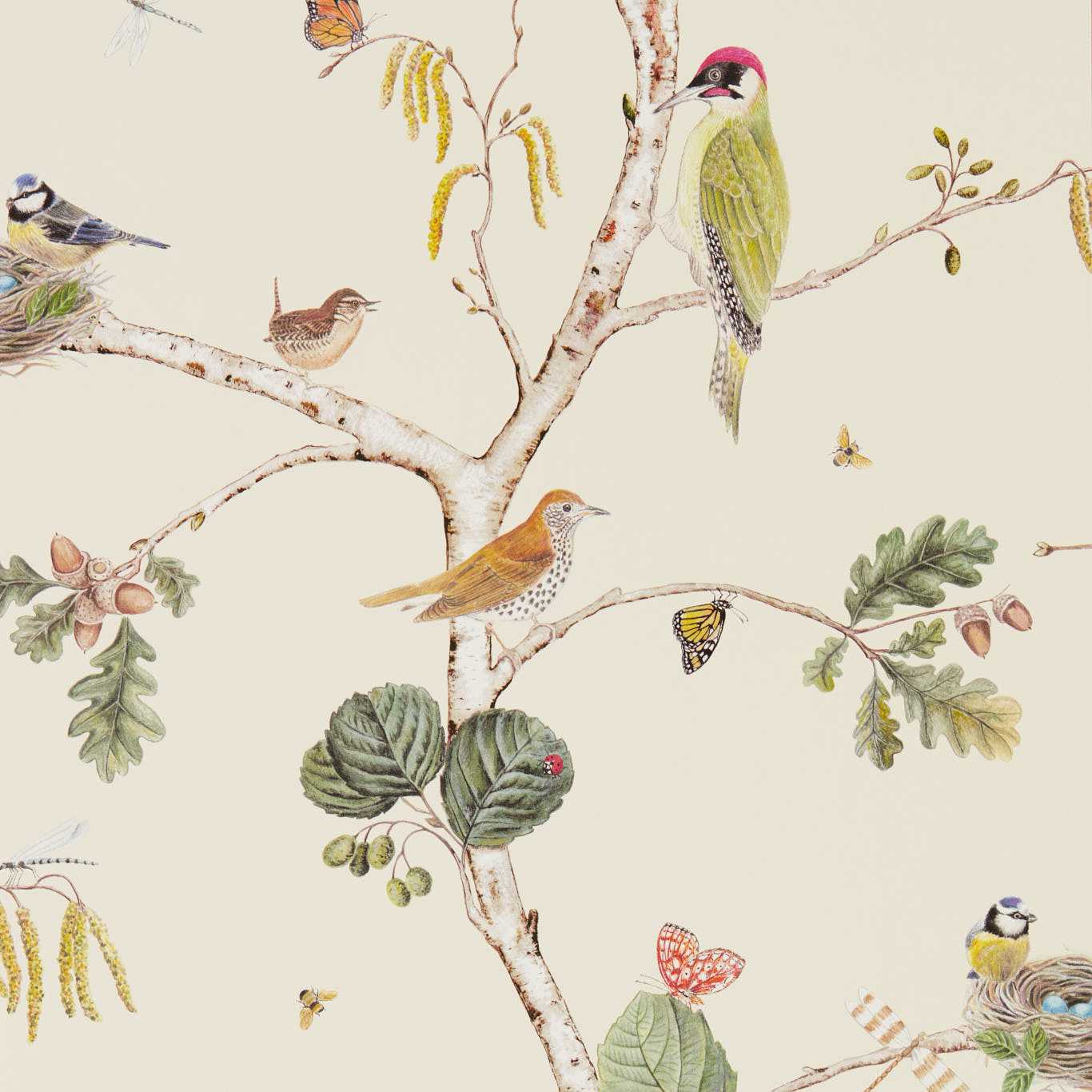 Woodland Chorus Wallpaper - Cream/Multi - DWOW215703