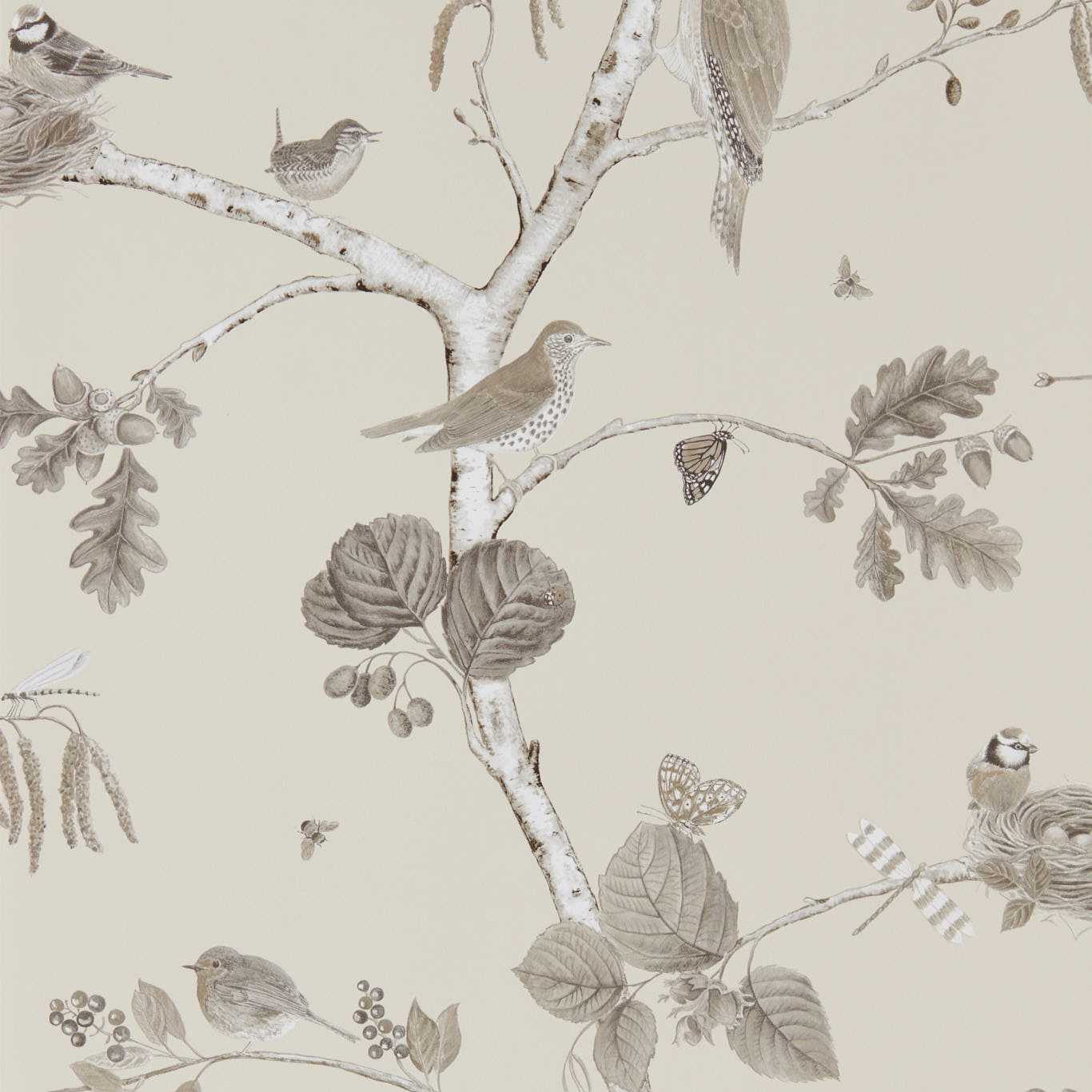 Woodland Chorus Wallpaper - Sepia/Neutral - DWOW215704