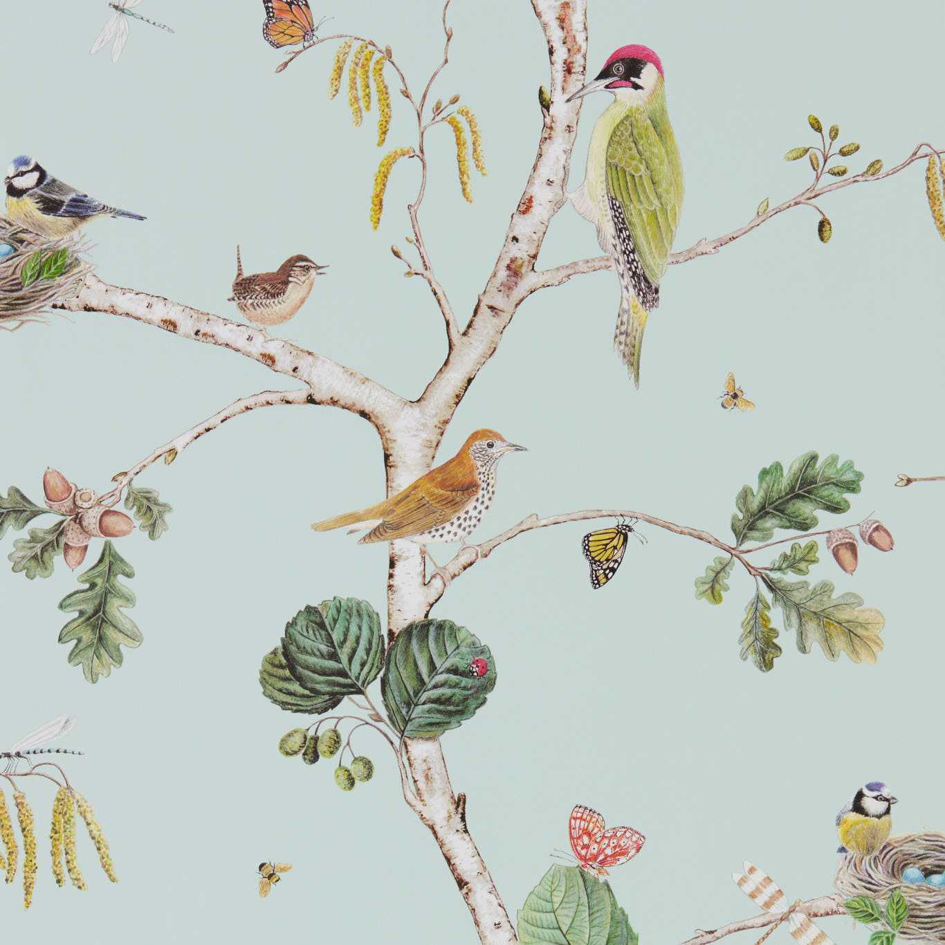 Woodland Chorus Wallpaper - Sky Blue/Multi - DWOW215706