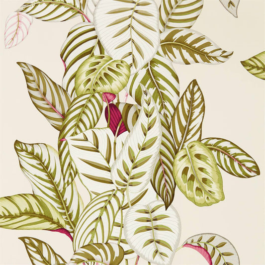 Calathea Wallpaper - Olive - DGLW216631