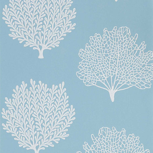 Coraline Wallpaper - Marine - DCOA216577