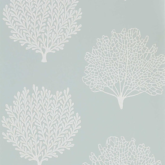 Coraline Wallpaper - Sky - DCOA216576