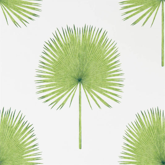 Fan Palm Wallpaper - Botanical Green - DGLW216636