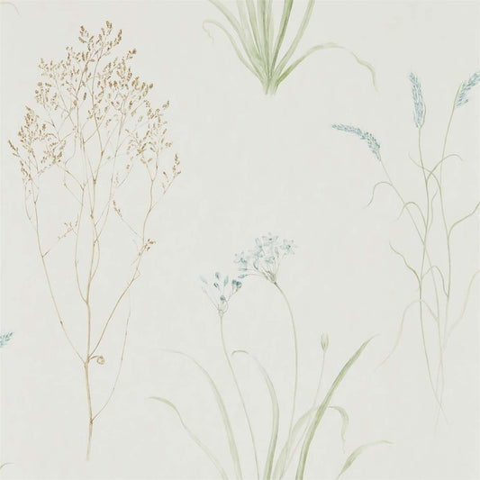 Farne Grasses Wallpaper - Cream/Sage - DEBB216486