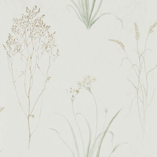 Farne Grasses Wallpaper - Willow/Pebble - DEBB216488