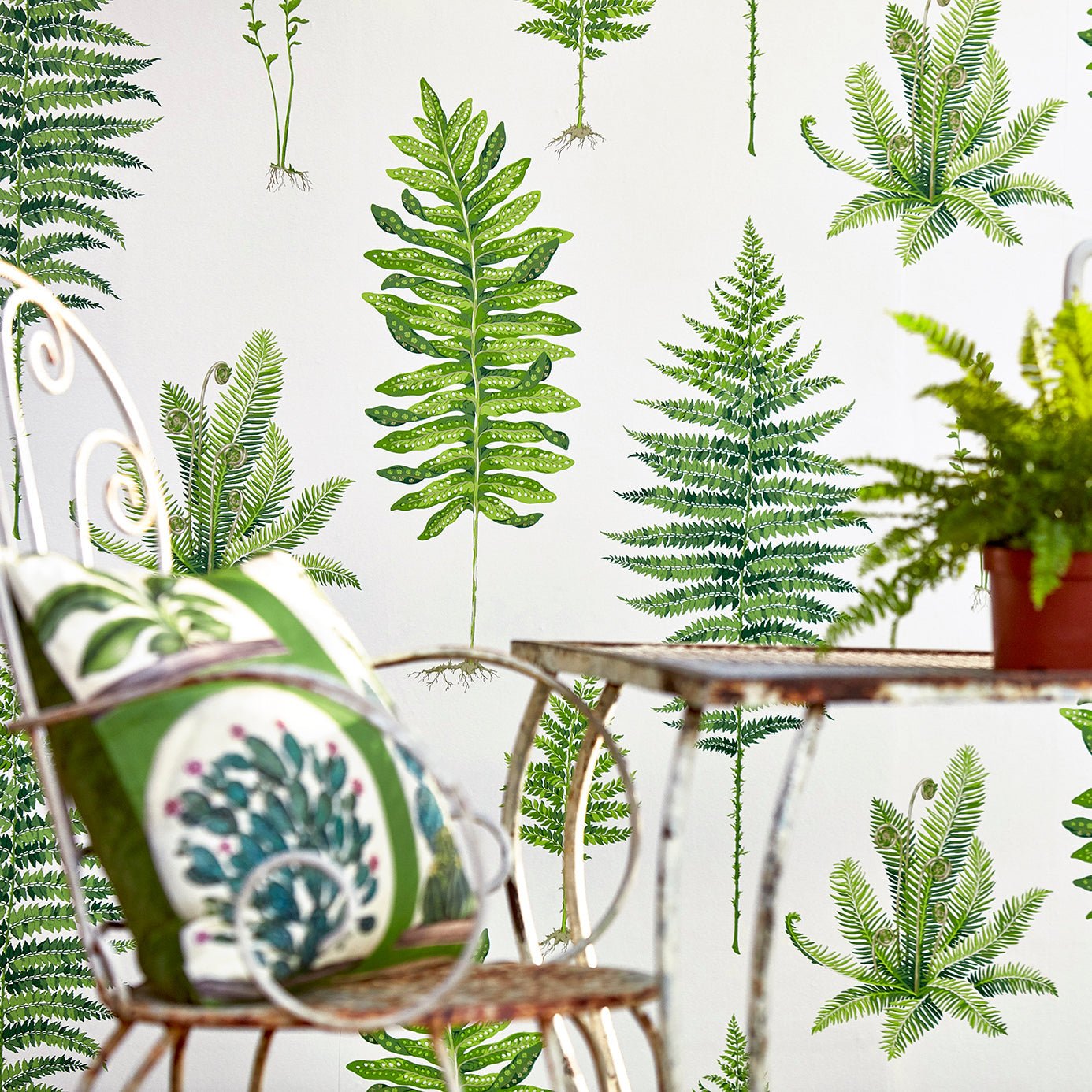 Fernery Wallpaper - Botanical Green - Sanderson - DGLW216633 - Morris Wallpaper