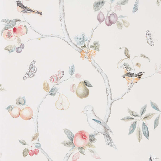 Fruit Aviary Wallpaper - Cream/Multi - DART216314