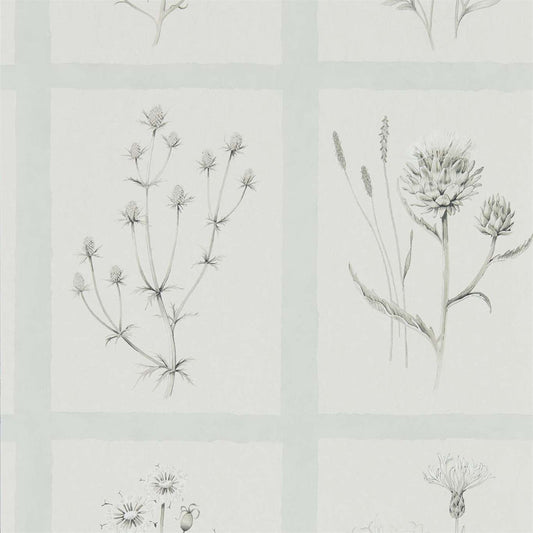 Little Thistles Wallpaper - Grey Blue - DEBB216513