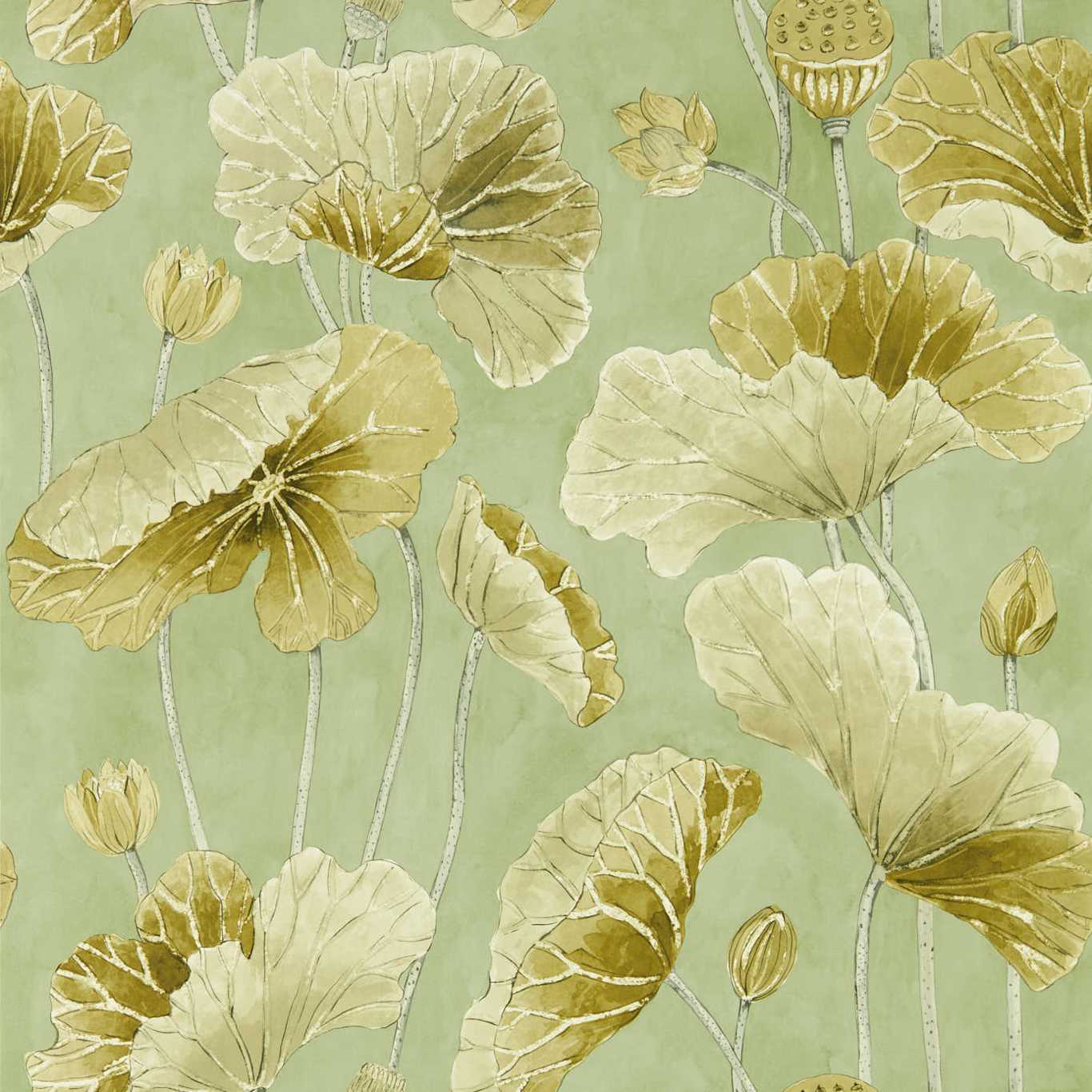 Lotus Leaf Wallpaper - Oriental Green/ Olive - DWAW217126
