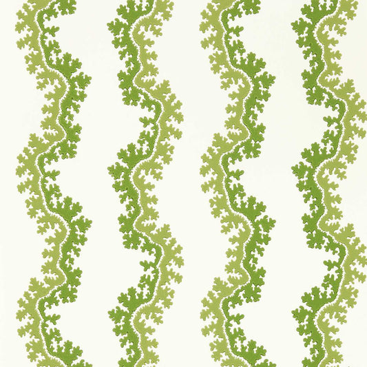 Oxbow Wallpaper - Sap Green - DABW217251