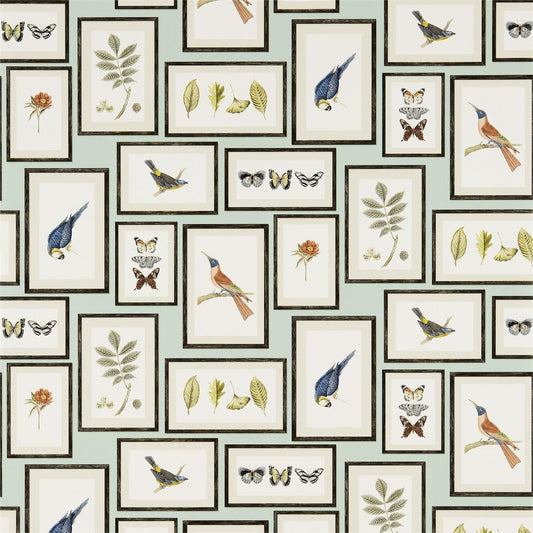 Picture Gallery Wallpaper - Aqua/Multi - DVOY213400