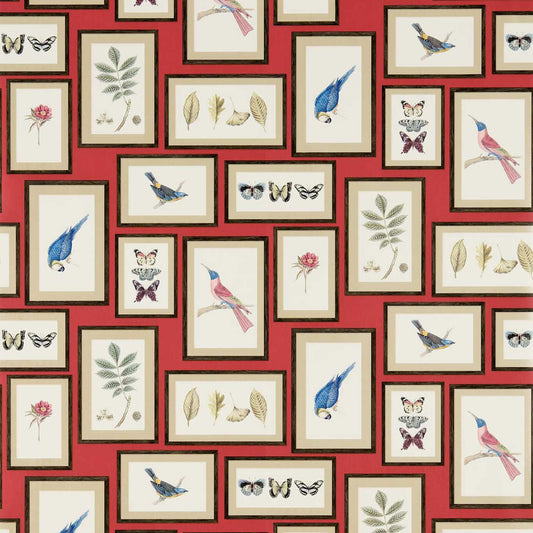 Picture Gallery Wallpaper - Red/Multi - DVOY213398