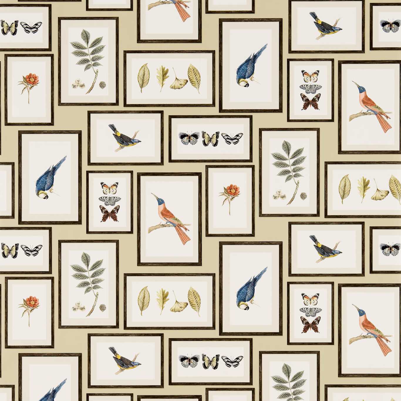 Picture Gallery Wallpaper - Sand/Multi - DVOY213399