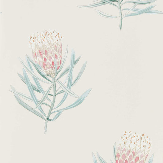 Protea Flower Wallpaper - Porcelain/Blush - DART216330