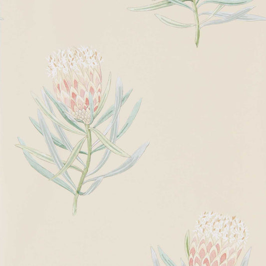 Protea Flower Wallpaper - Russet/Green - DART216329