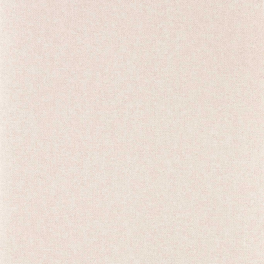Sessile Plain Wallpaper - Wild Rose - DABW217244