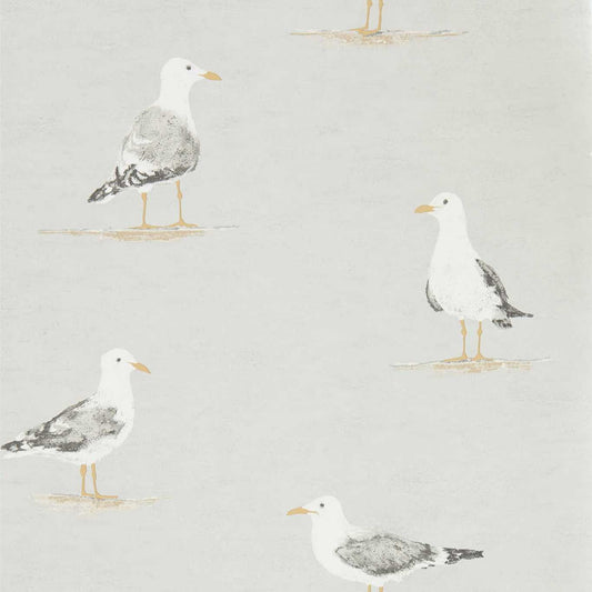 Shore Birds Wallpaper - Gull - DCOA216565