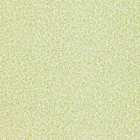 Standen Wallpaper - Fennel - Morris & Co - 210469 - Morris Wallpaper