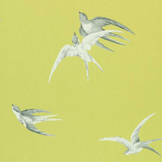 Swallows Wallpaper - Lime - DVIWSW101