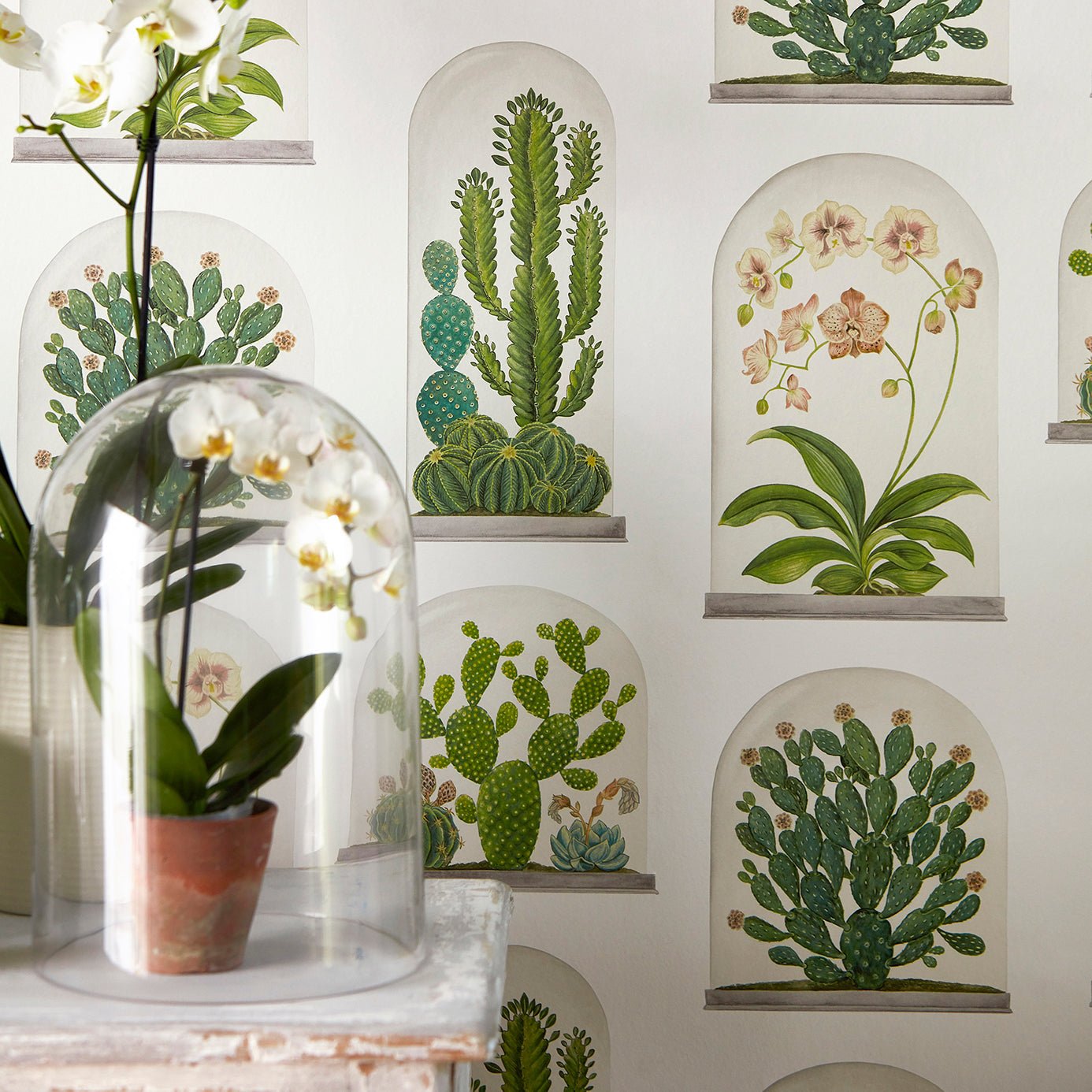 Terrariums Wallpaper - Botanical Green/Multi - Sanderson - DGLW216656 - Morris Wallpaper