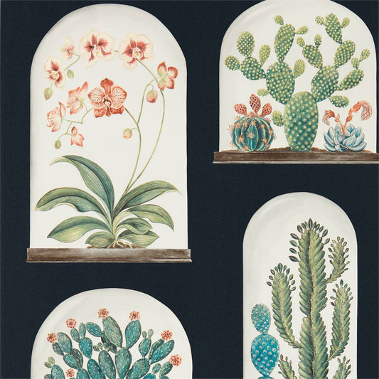 Terrariums Wallpaper - Ink/Multi - DGLW216658