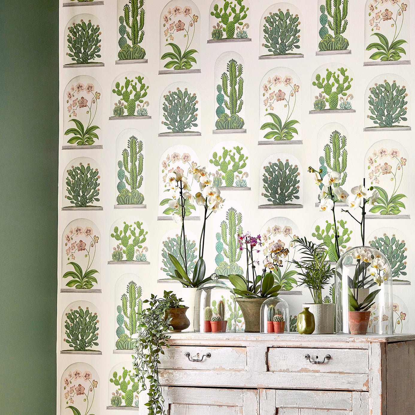 Terrariums Wallpaper - Ink/Multi - Sanderson - DGLW216658 - Morris Wallpaper