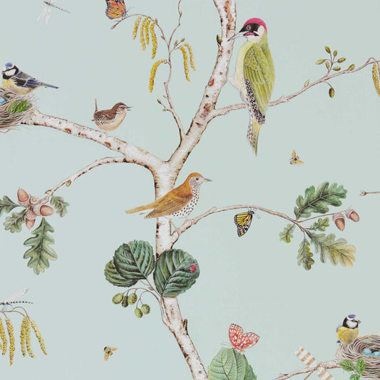 Woodland Chorus Wallpaper - Sky Blue/Multi - DWOW215706